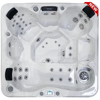 Avalon-X EC-849LX hot tubs for sale in Depew