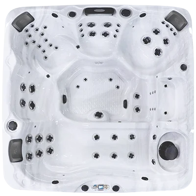 Avalon EC-867L hot tubs for sale in Depew